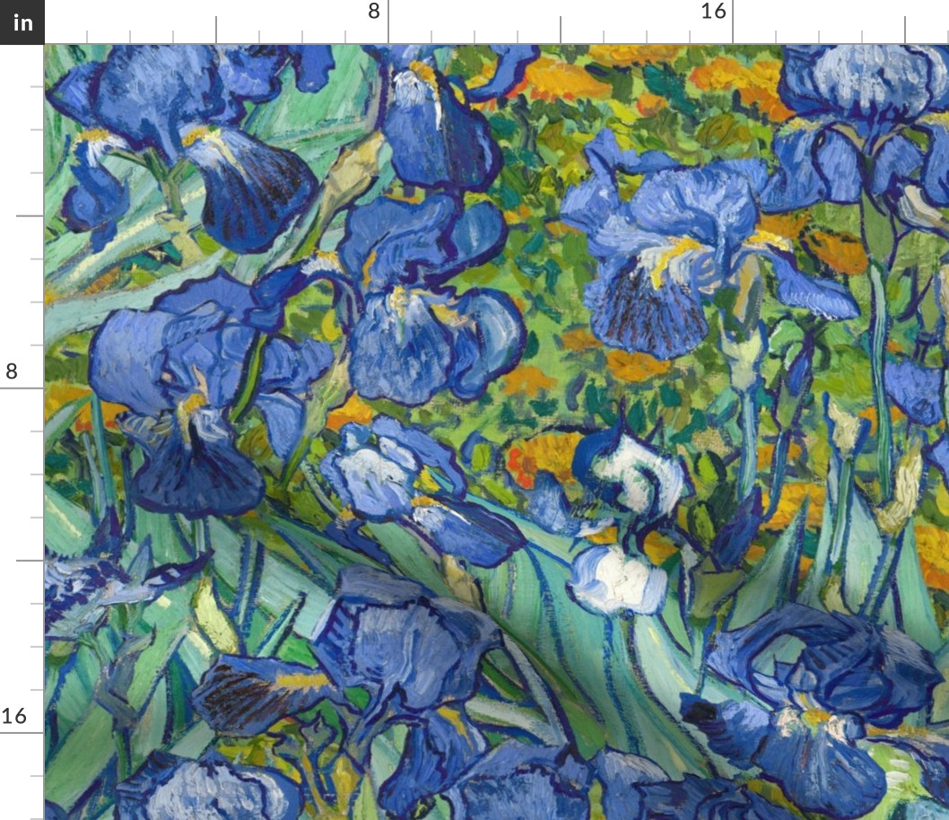 Vincent Van Gogh Irises Medium