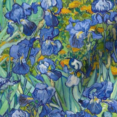  Vincent Van Gogh Irises X SMALL