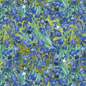  Vincent Van Gogh Irises X SMALL