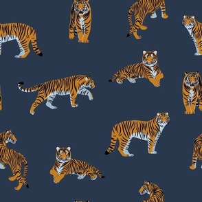 Tigers on a dark blue