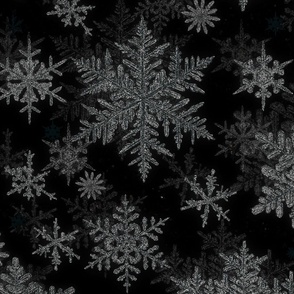 snowflakes black