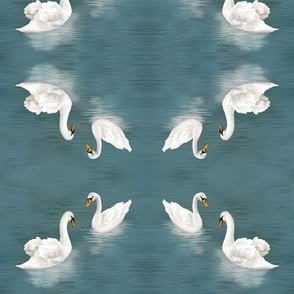 Swan Dance