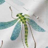 Dragonflies - Frolic Collection