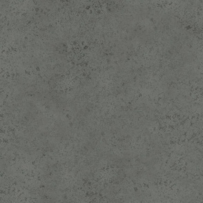 pewter grunge texture - petal solids coordinate