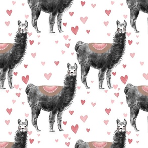 watercolor whole llama love valentines 