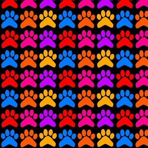 paws colorful black background