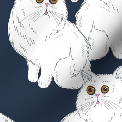 Persian Cats