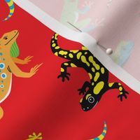 Colorful and cute lizards and frogs