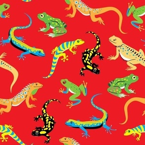 Colorful and cute lizards and frogs