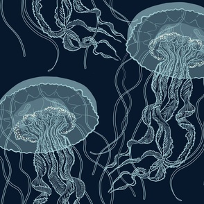 Wallpaper ID 14099  jellyfish underwater world glow neon phosphorus  4k free download