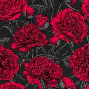 Red peony garden, gray leaves, dark gray background, small size