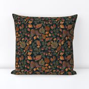 Brown Acorns and pine cones with dark blue background