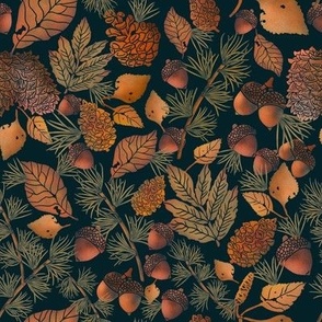 Brown Acorns and pine cones with dark blue background