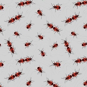 Firebugs/ Red soldier bug pattern