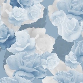 Photo Roses in Blue