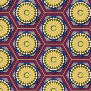 Purple Yellow Hexagon Discs