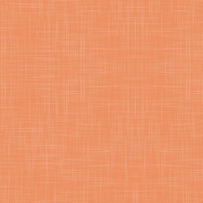 peach linen texture - petal solids coordinate