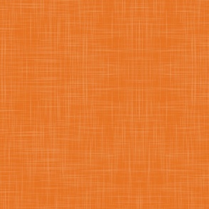 carrot linen texture - petal solids coordinate