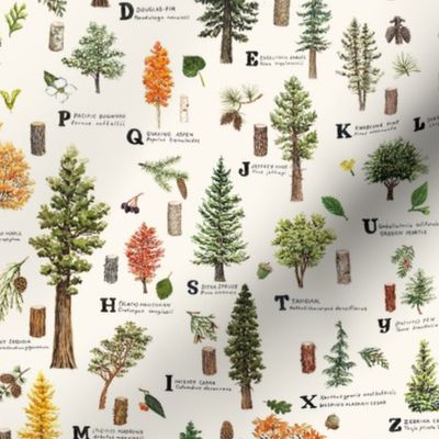 ABC Trees of the Pacific Northwest Pattern 