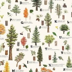 ABC Trees of the Pacific Northwest Pattern 