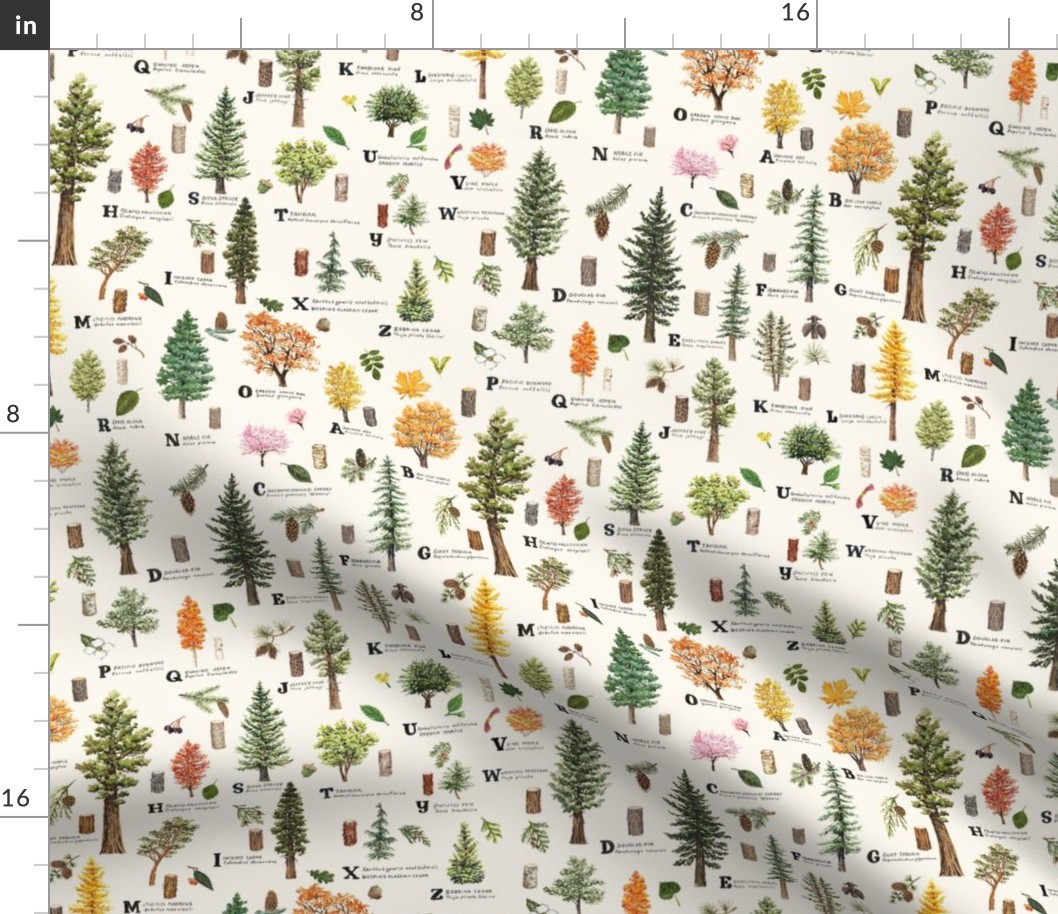 ABC Trees of the Pacific Northwest Pattern 