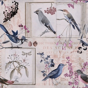 Birds And Books Botany Blue Pink