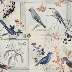 Birds And Books Botany Blue Beige