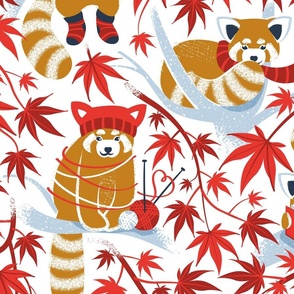 Large jumbo scale // Red panda blending with the foliage // white background desert sun brown cozy animals fog blue tree branches red acer leaves