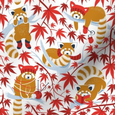 Small scale // Red panda blending with the foliage // white background desert sun brown cozy animals fog blue tree branches red acer leaves