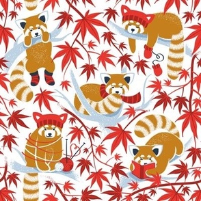 Small scale // Red panda blending with the foliage // white background desert sun brown cozy animals fog blue tree branches red acer leaves