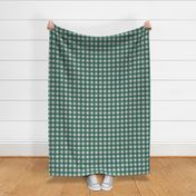 SUNBOW GINGHAM TEAL