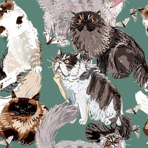 Cats a lot in teal Regular Scale