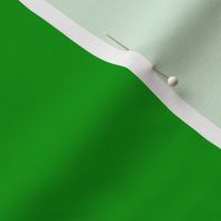 Solid Green Dynamic Limeade 4D9900 Plain Fabric Solid Coordinate