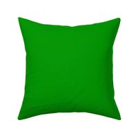 Solid Green Dynamic Limeade 4D9900 Plain Fabric Solid Coordinate