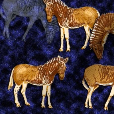 Quagga