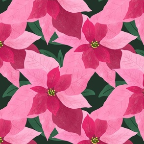 Pink Poinsettia on deep green