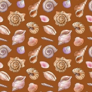seashells on a terracot