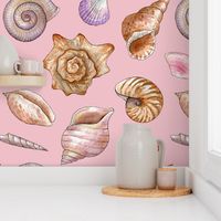 watercolor seashells on pink