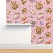 watercolor seashells on pink