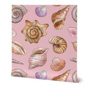 watercolor seashells on pink