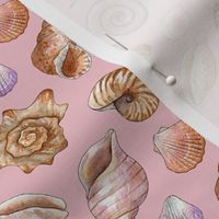 watercolor seashells on pink
