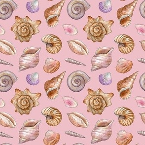 watercolor seashells on pink