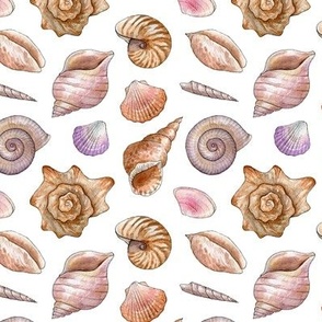 watercolor seashells 
