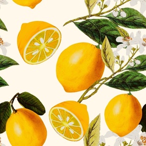 Summer,citrus,lemons,Italian,Sicilian pattern 