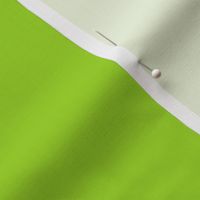 Solid Green Dynamic Lime AED43D Plain Fabric Solid Coordinate