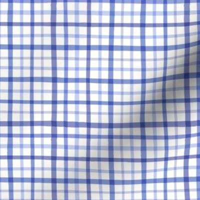 Blue gingham small