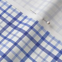 Blue gingham small