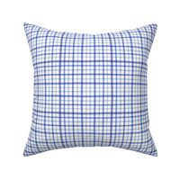 Blue gingham small