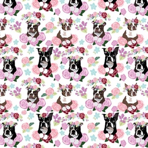 Boston Terriers Frolic in the Flowers Pink Purple with white background