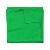 Solid Green Subtle Grass 44BF58 Plain Fabric Solid Coordinate
